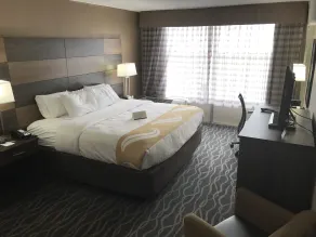 Quality Inn and Conference Center - Vue de la chambre