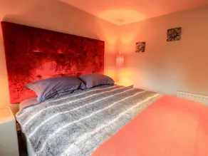 The Curious Orange - Room