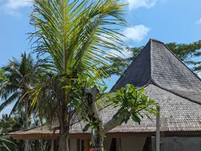 Puri Dajuma Terrace Eco Lodge & Spa - Room