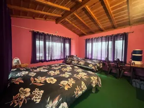 The Himalayan Heaven Homestay, Binsar - Room