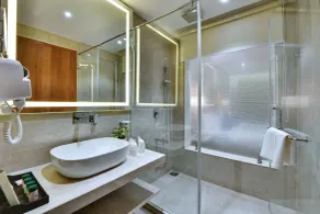 The Fern Residency Ajmer - Bathroom