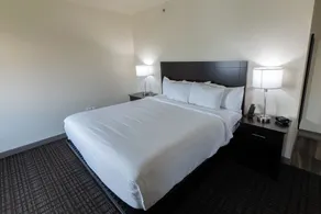 Cobblestone Hotel & Suites-Sheldon - Room