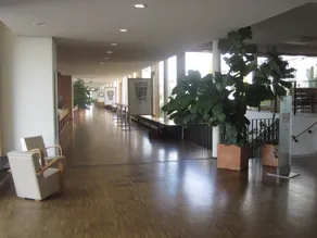 Hotel St Elisabeth - Reception