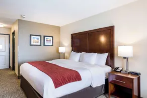 Comfort Inn Bonner Springs Kansas City - Chambre