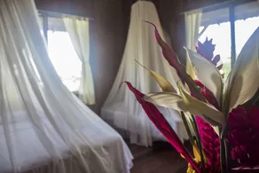 Casa Grande at Pacuare Reserve - Habitación
