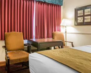 Comfort Inn Lakeside - Chambre