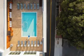 SpringHill Suites by Marriott Tampa Downtown - Piscine