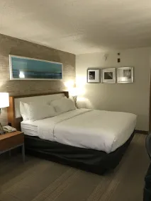 Holiday Inn & Suites Bolingbrook by IHG - Chambre