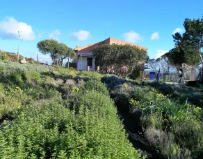 Agriturismo Glamping Erbe Matte - Ausblick vom Zimmer