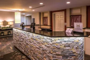 Hilton Garden Inn Detroit - Southfield, MI - Réception