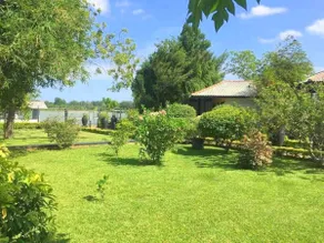 Flower Garden Lake Resort - Vistas desde la habitación