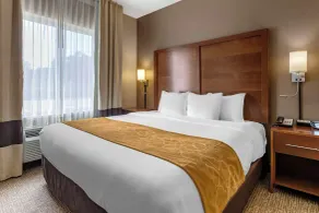 Comfort Suites Coralville I-80 - Chambre