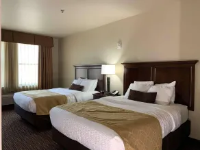 Radisson Hotel River Falls - Habitación