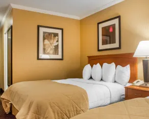 Clarion Hotel & Suites Riverfront - Chambre