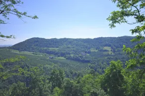 Ca' Pavaglione Country House - Vista dalla camera