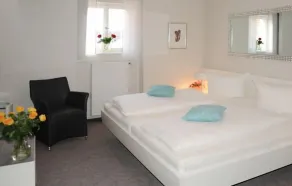 Hotel Adler - Weil am Rhein - Room
