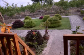 Ekas Garden Bungalow - View from room