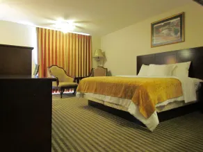 Romana Hotel - Houston Southwest - Room