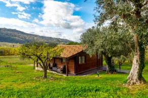Quinta do Quinto - Turismo de Habitação - Udsigt fra værelset