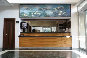 Mesón Ejecutivo Hotel - Recepción