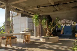 Desa Oculus - Reception