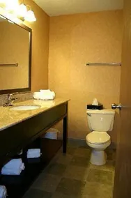 Quality Inn Dunkirk - Badrum