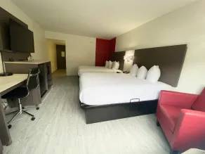 Ramada by Wyndham Tuscaloosa - Chambre