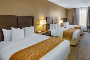 Comfort Inn Evanston I-80 - Chambre
