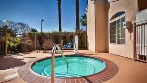 Best Western Palm Court Inn - Piscine