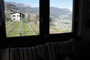 B&B La Betulla - Utsikt fra rommet