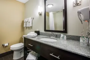 Sleep Inn & Suites Grand Forks Near Alerus Center - Salle de bain
