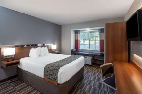 Microtel Inn & Suites by Wyndham Savannah/Pooler - Chambre