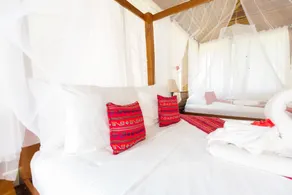 Jaguar Creek - Room