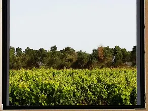Casale alle Vigne - Vistas desde la habitación
