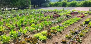 Almanuda - Naturist Retreat - Adults Only - Ausblick vom Zimmer