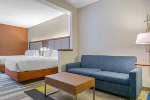 Holiday Inn Express Mount Arlington by IHG - Chambre