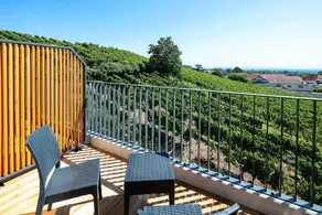 BEST WESTERN Hôtel le Schoenenbourg - Vue de la chambre