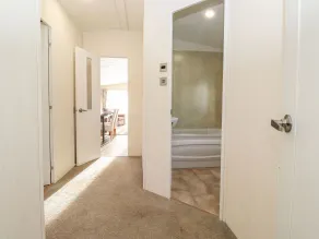 Canis - Room