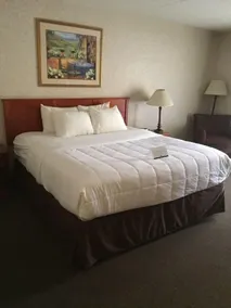 Quality Inn & Suites Albuquerque Midtown - University Area - Room