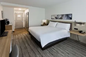 Hilton Garden Inn Birmingham SE/Liberty Park - Chambre