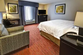Hampton Inn & Suites Ada - Værelse