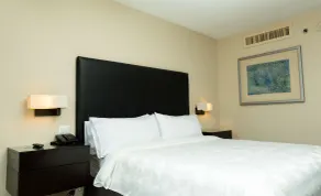 Hilton San Salvador - Room
