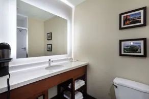 Comfort Suites Bowling Green Southeast - Salle de bain