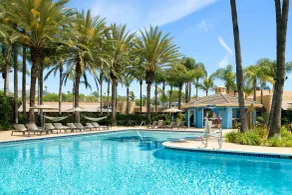 Sheraton Park Hotel at the Anaheim Resort - Piscine