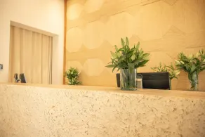Les Palmiers Boutique Hôtel & Spa - Reception