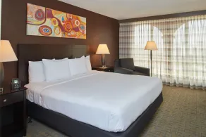 DoubleTree by Hilton Dallas - Market Center - Chambre