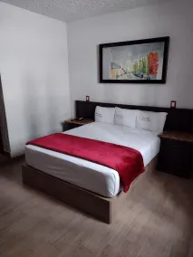 Hotel Don Quijote Plaza - Guadalajara Centro Historico - Room