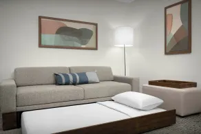 SpringHill Suites by Marriott Lynchburg Airport/University Area - Chambre