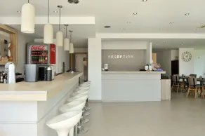 Aristotelis Hotel - Réception