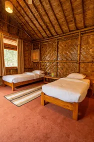 HABITAS RHINO BY NATURE HUNT - Room